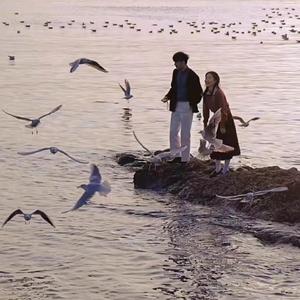 肥婆脱裤子让小伙捅
